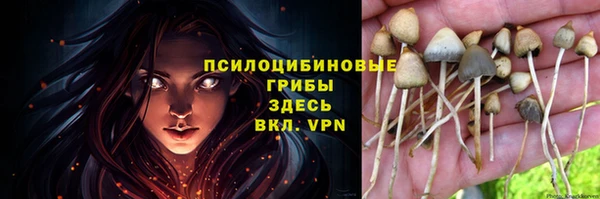 прущие крисы Беломорск