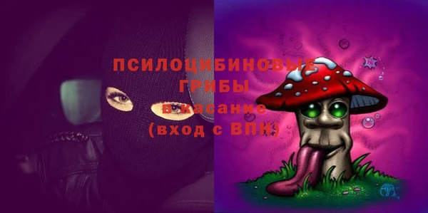 спайс Бородино