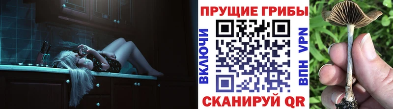 магазин наркотиков Гай Галлюциногенные грибы ЛСД